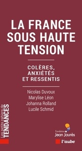 Nicolas Duvoux et Lucile Schmid - La France sous haute tension.