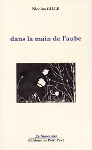 Dans la main de l'aube