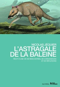 L'astragale de la baleine