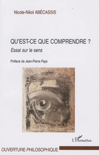 Qu'est-ce que comprendre ?