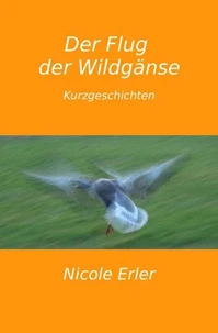 Der Flug der Wildgänse