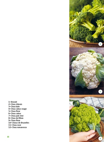 Abécédaire des légumes. Infos et recettes pour les cuisiner toute l'année, 100 recettes au quotidien