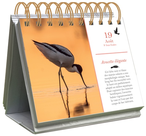 Nidal Issa 365 jours pour les amoureux des oiseaux de Nidal Issa - Grand Format ...