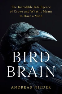Bird Brain