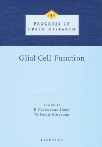 Glial Cell Function