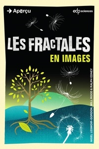 Nigel Lesmoir-Gordon et Will Rood - Les fractales en images.