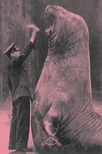 Trois zoos humains