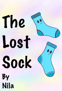 The Lost Sock