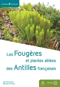 Les ptéridophytes des Antilles françaises