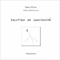 Solutions de continuité