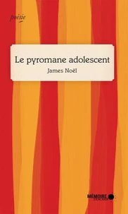 Le pyromane adolescent suivi de Amour à mort