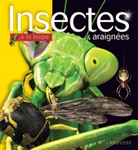 Insectes & araignées.pdf