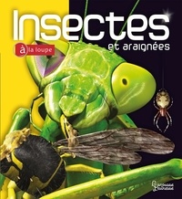 Noel Tait - Insectes et araignées.