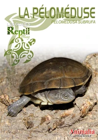 La péloméduse roussatre