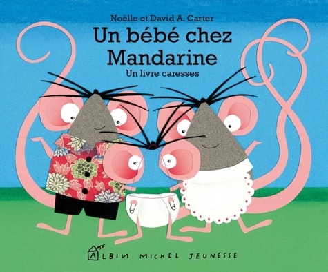 Noëlle Carter et David-A Carter - Un bébé chez Mandarine - Un livre caresses.