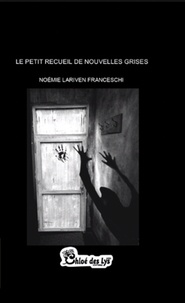 Noémie Lariven Franceschi - Le petit recueil de nouvelles grises.