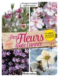Noémie Vialard - Des fleurs toute l'année - 60 espèces et variétés au fil des saisons.
