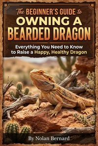 The Beginner's Guide to Owning a Bearded Dragon
