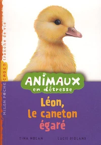 Léon, le caneton égaré