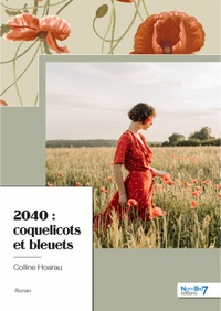 Colline Hoarau - 2040 - Coquelicots et bleuets.