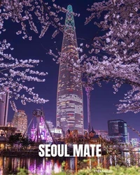 Seoul Mate