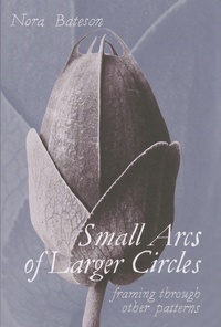 Nora Bateson - Small Arcs of Larger Circles - Framing through other patterns.