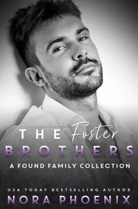The Foster Brothers: A Found Family Collection