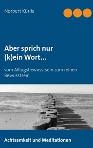 Norbert Kürlis - Aber sprich nur (k)ein Wort... - Vom Alltagsbewusstsein zum reinen Bewusstsein.