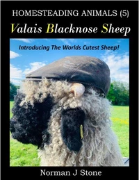 Valais Blacknose Sheep: An Introduction To The Worlds Cutest Sheep