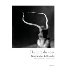 Livres d'epubs gratuits à télécharger Histoire du vent 9782897662219