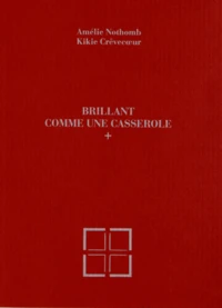 Brillant comme une casserole