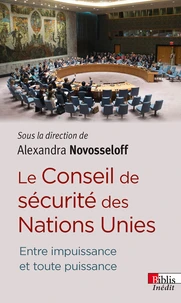 Le Conseil de Sécurité des Nations Unies