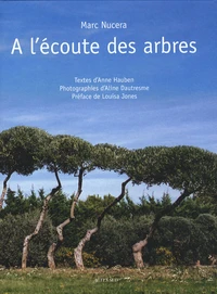 A l'écoute des arbres