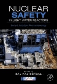 Nuclear Safety in Light Water Reactors - Severe Accident Phenomenology.