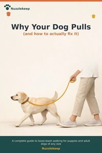 Why Your Dog Pulls