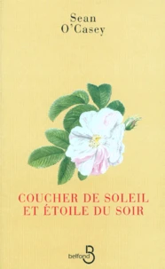 Coucher de soleil et étoile du soir