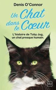Un chat dans le cœur