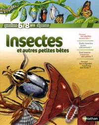 Insectes et autres petites bêtes