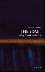 The Brain