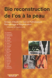 Bio reconstruction de l'os à la peau