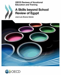  OCDE - A skills beyond school review of Egypt.