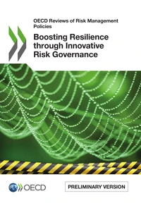 Boosting Resilience through Innovative Risk Governance / Preliminary version