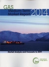  OCDE - Medium-term gas market report 2014.