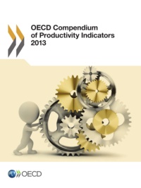  OCDE - OECD Compendium of Productivity Indicators 2013.