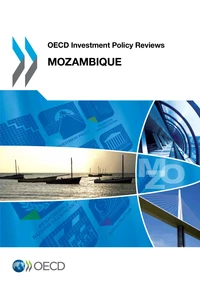 OECD Investment Policy Reviews : Mozambique 2013