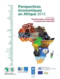 Perspectives économiques en Afrique 2013