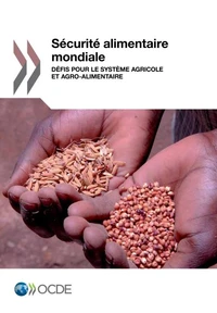 Sécurité alimentaire mondiale