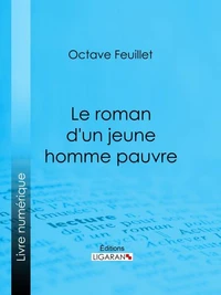 Le roman d'un jeune homme pauvre