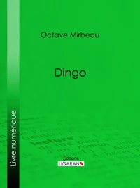 Dingo