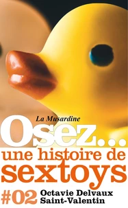 Osez une histoire de sextoys : Saint-Valentin